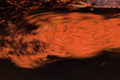 落ち葉ぐるぐる