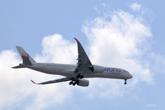 One World A350