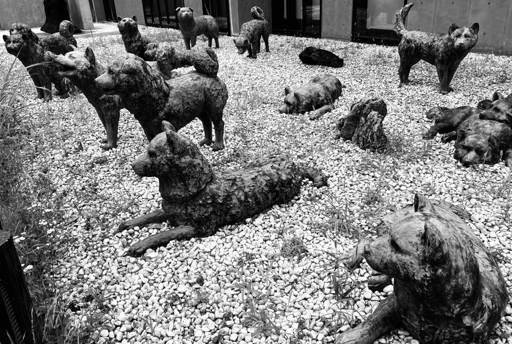 南極のカラフト犬像