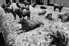 南極のカラフト犬像