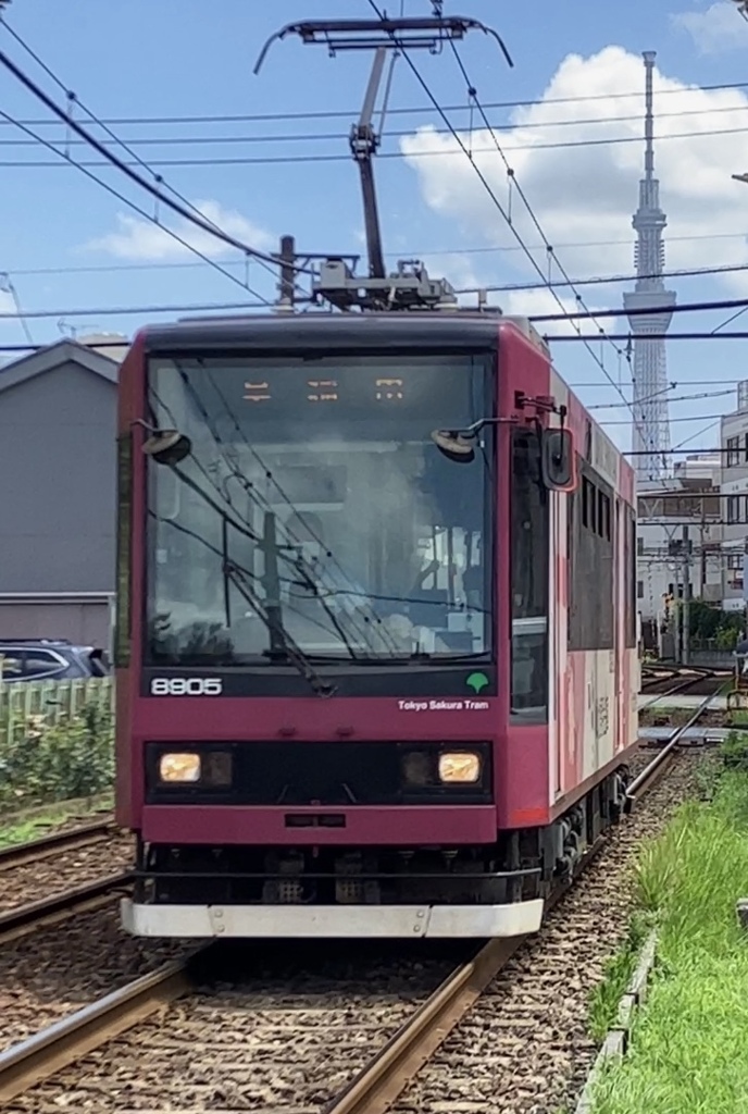 都電荒川線の夏