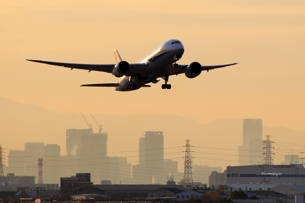 朝陽に照らされる機体