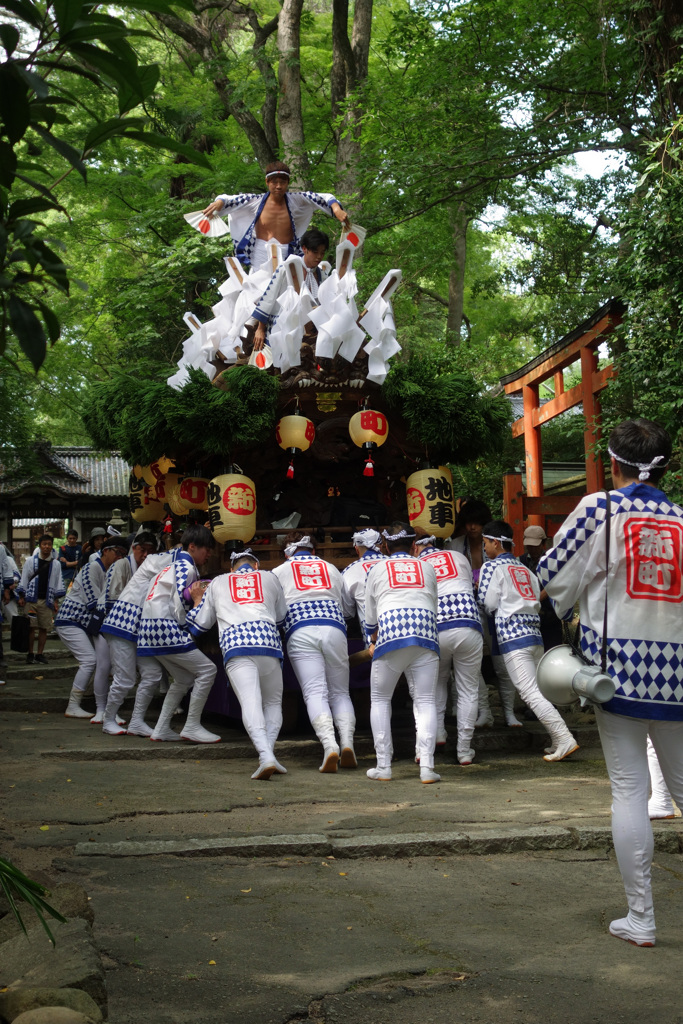伊居太神社だんじり巡行