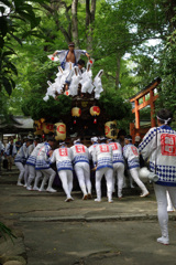 伊居太神社だんじり巡行