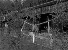 古民家のお正月