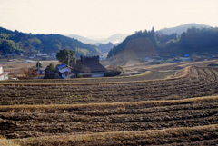 朝の長谷の棚田