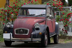 オープンカーの季節
