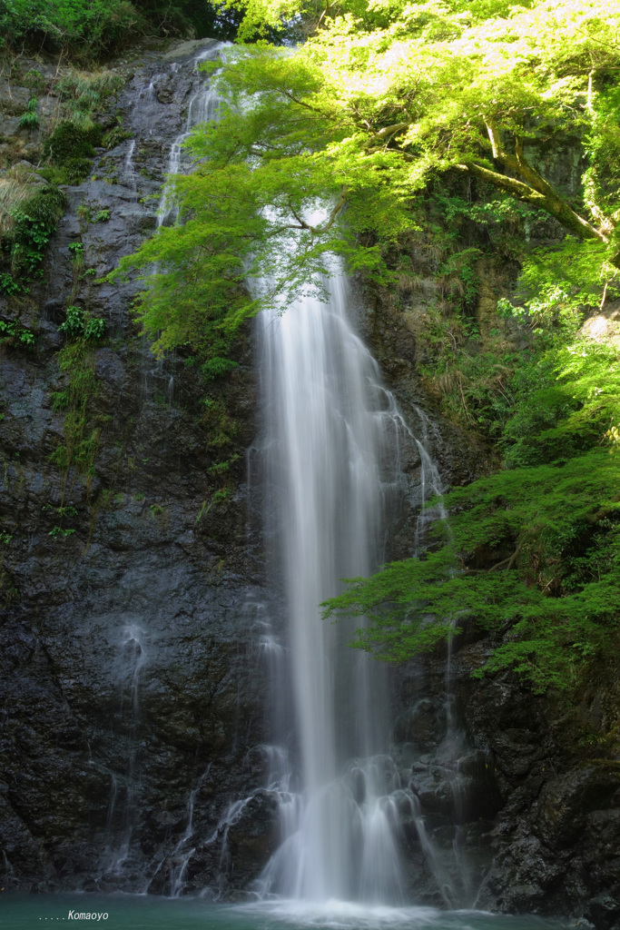 涼を求めて箕面の滝へ