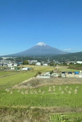 秋の富士山