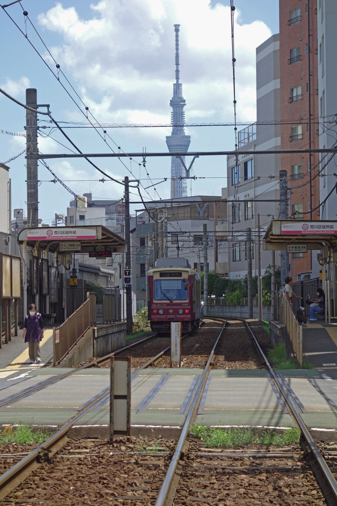 スカイツリーを望める荒川区役所前