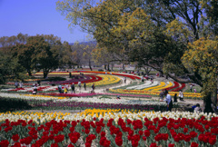 万博公園の思い出