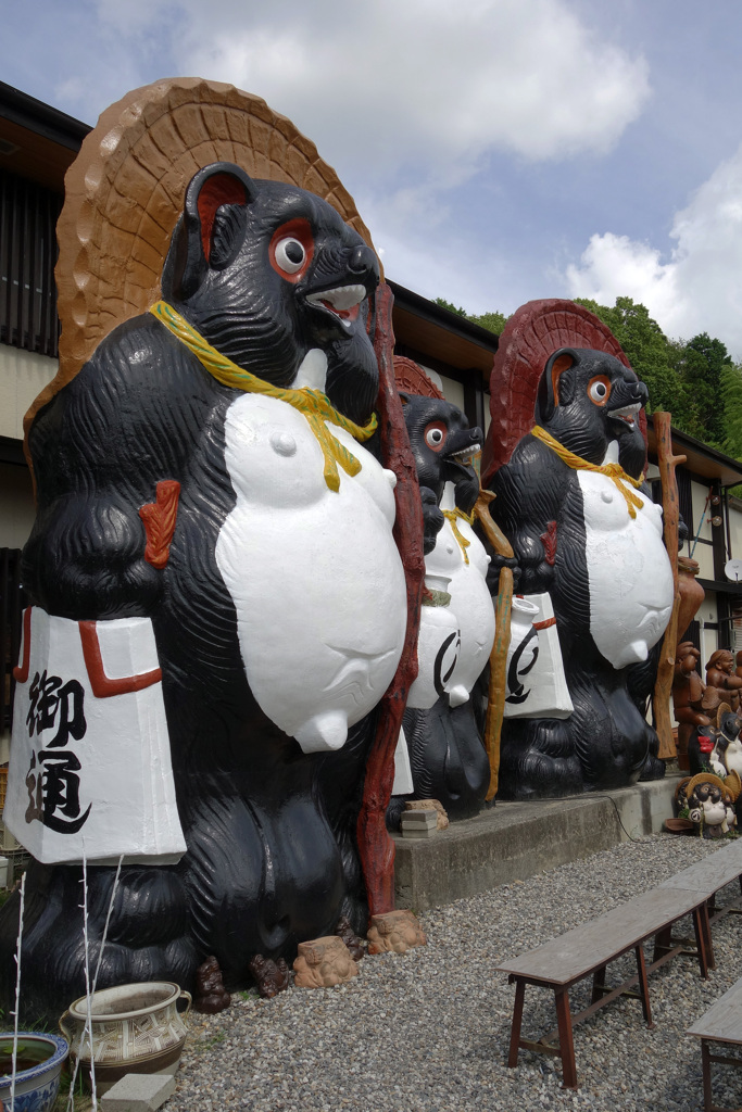 信楽といえばコレ