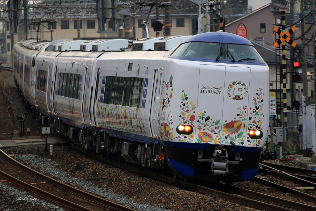 キティはるか