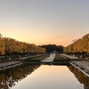 国営昭和記念公園の銀杏と噴水