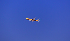 C-3POはなくなっても機体は今後に期待