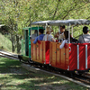 シグナス鉄道