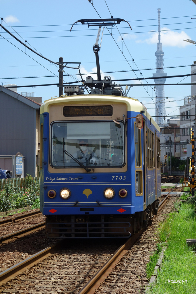 スカイツリーと都電
