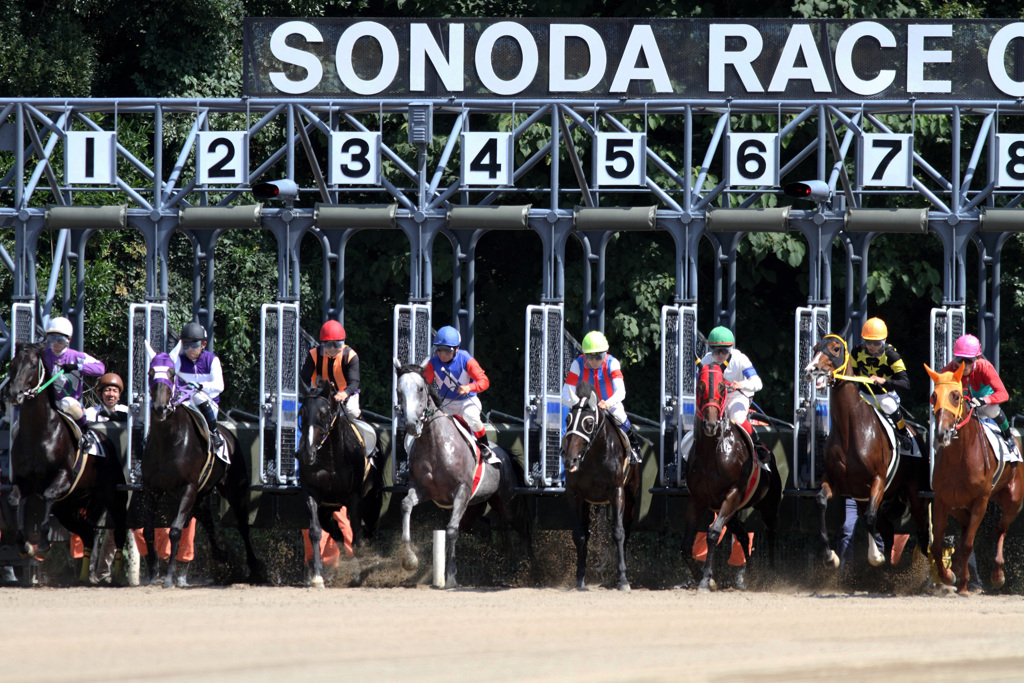 丙午（ひのえ馬）