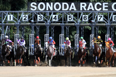 丙午（ひのえ馬）