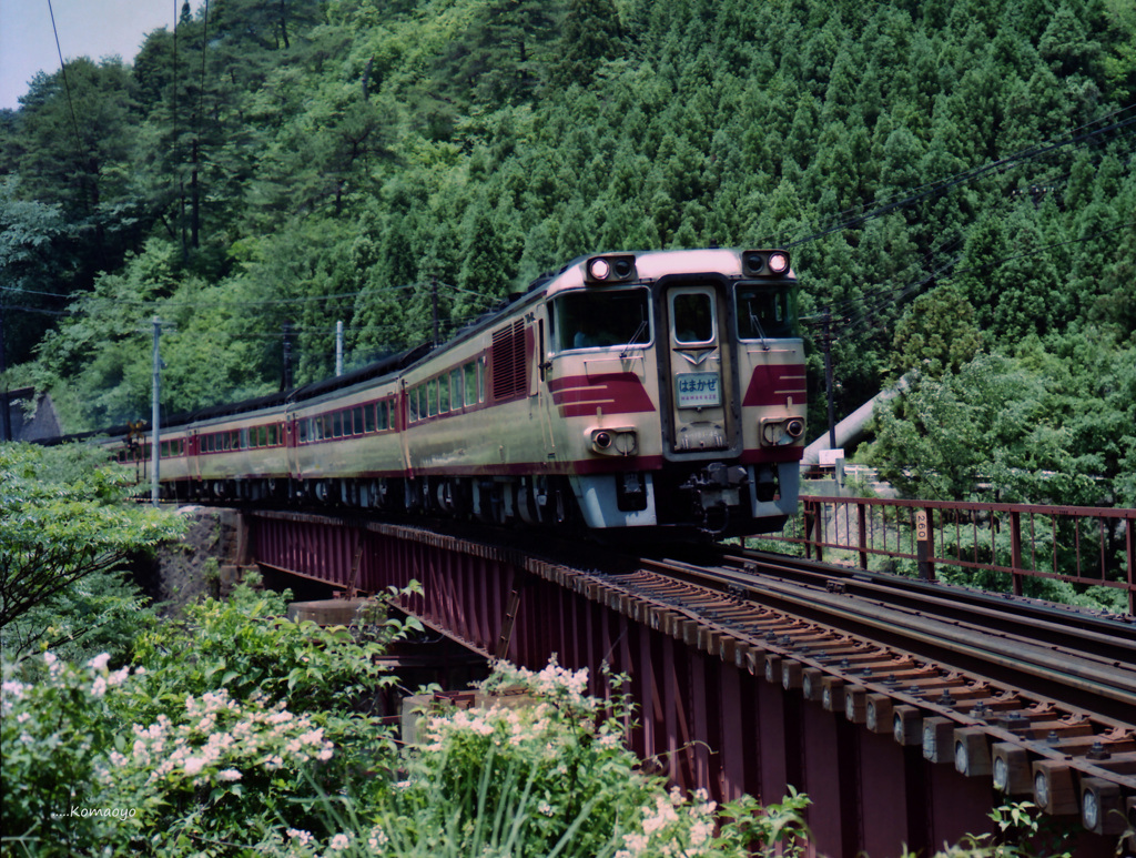 181系特急はまかぜ１号