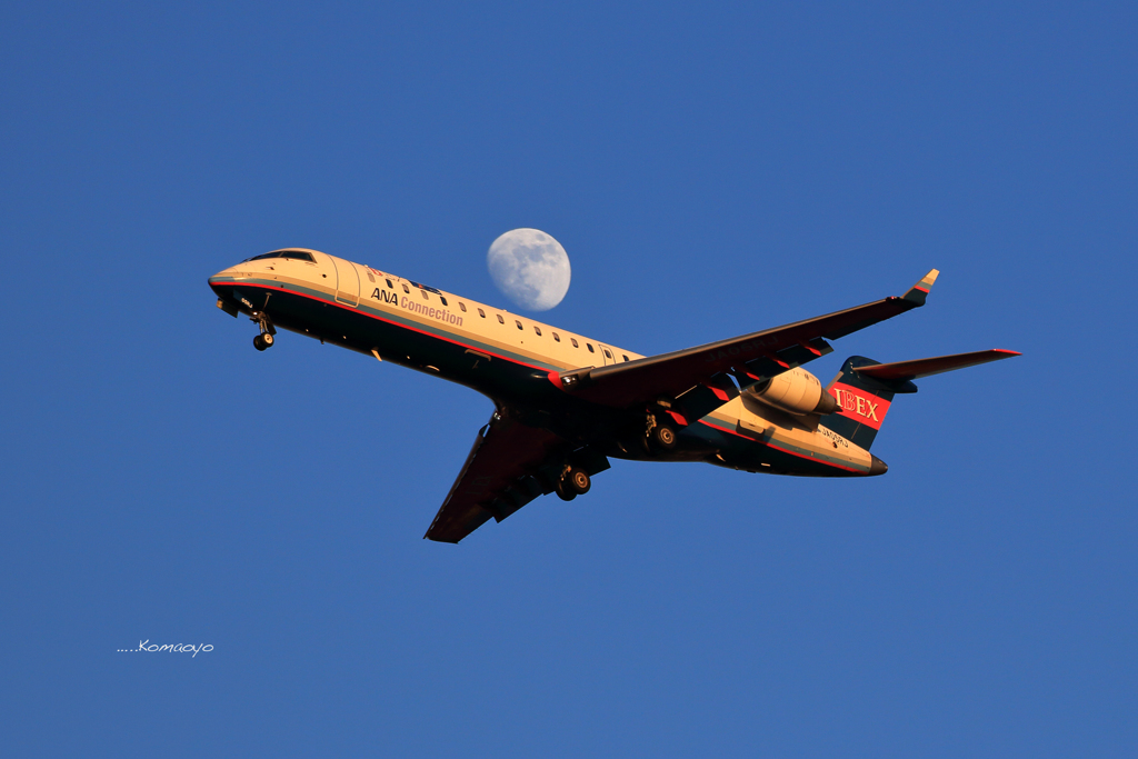 夕陽に照らされる機体