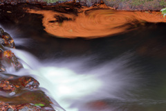 ピークを過ぎた箕面滝道だより