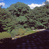 臨済宗大本山東福寺