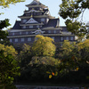 烏城（岡山城）