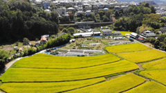 能勢電秘境駅「笹部駅」