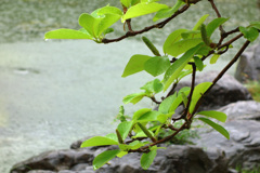 雨、誰もいない