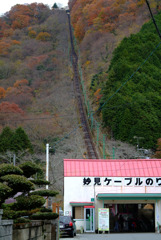 紅葉先取りⅤ