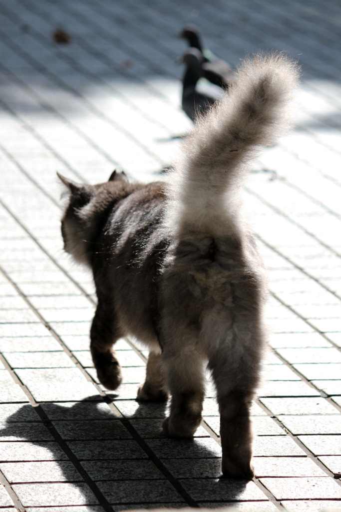 あばよ！