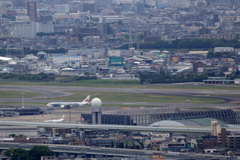 JAL Fantastic Journey Express