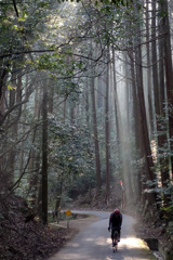 六丁峠の朝霧