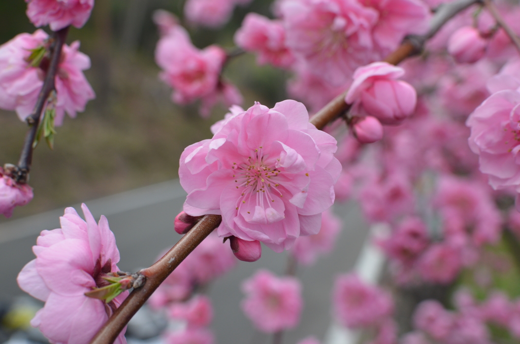 写真　練習　その２