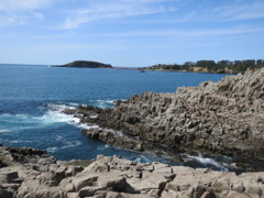 東尋坊