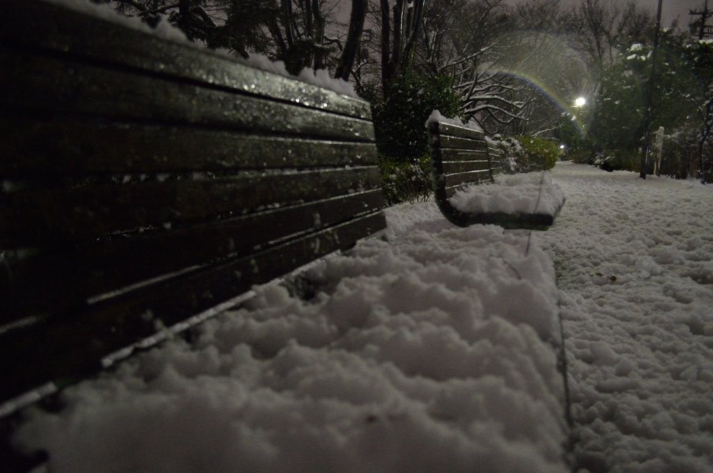 本日の大雪その３