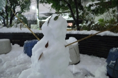 本日の大雪その１