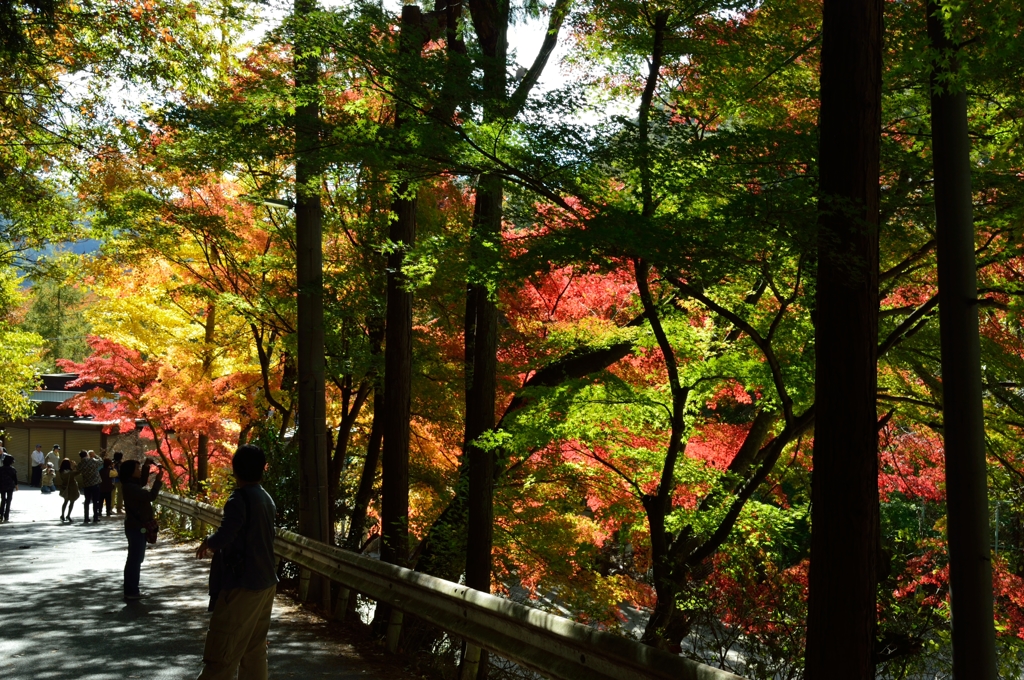 山梨県 昇仙峡スナップ その９