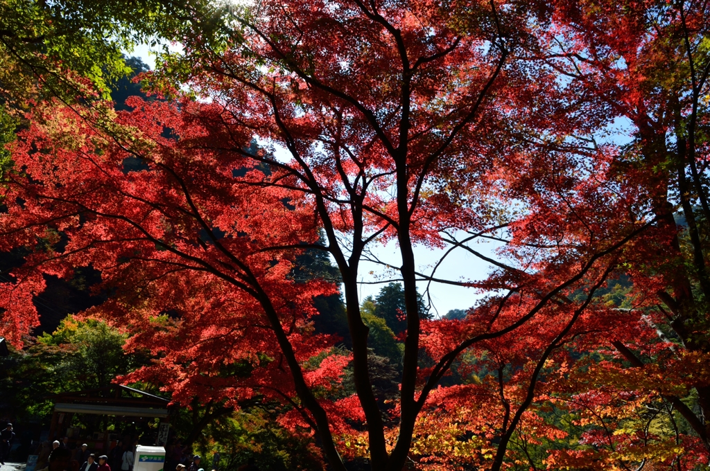 山梨県 昇仙峡スナップ その７