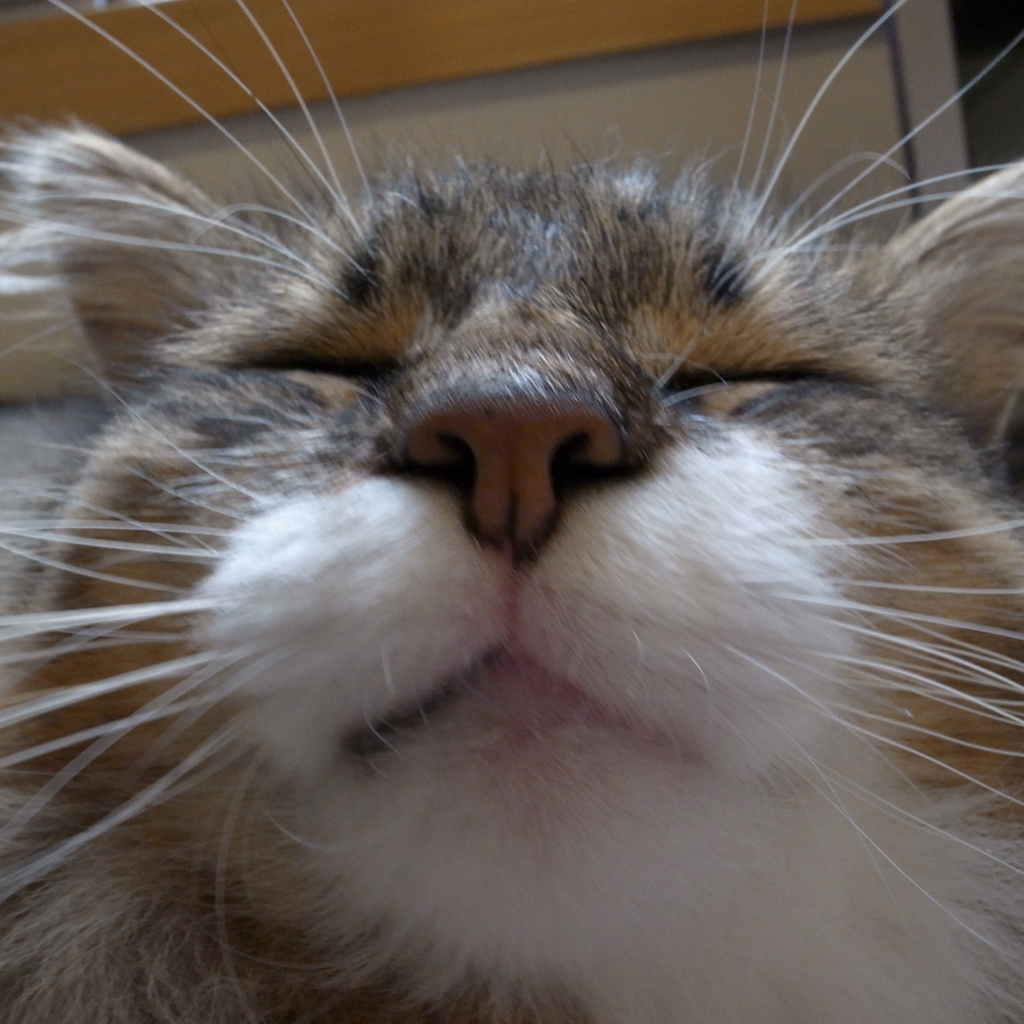 幸せ
