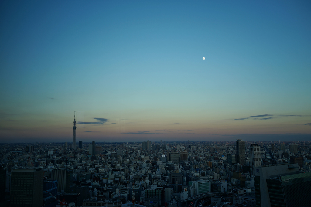 夕景
