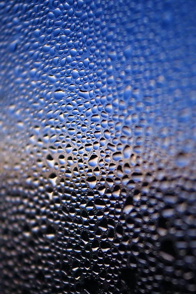結露
