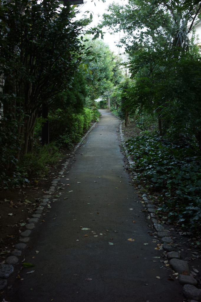 120917緑道