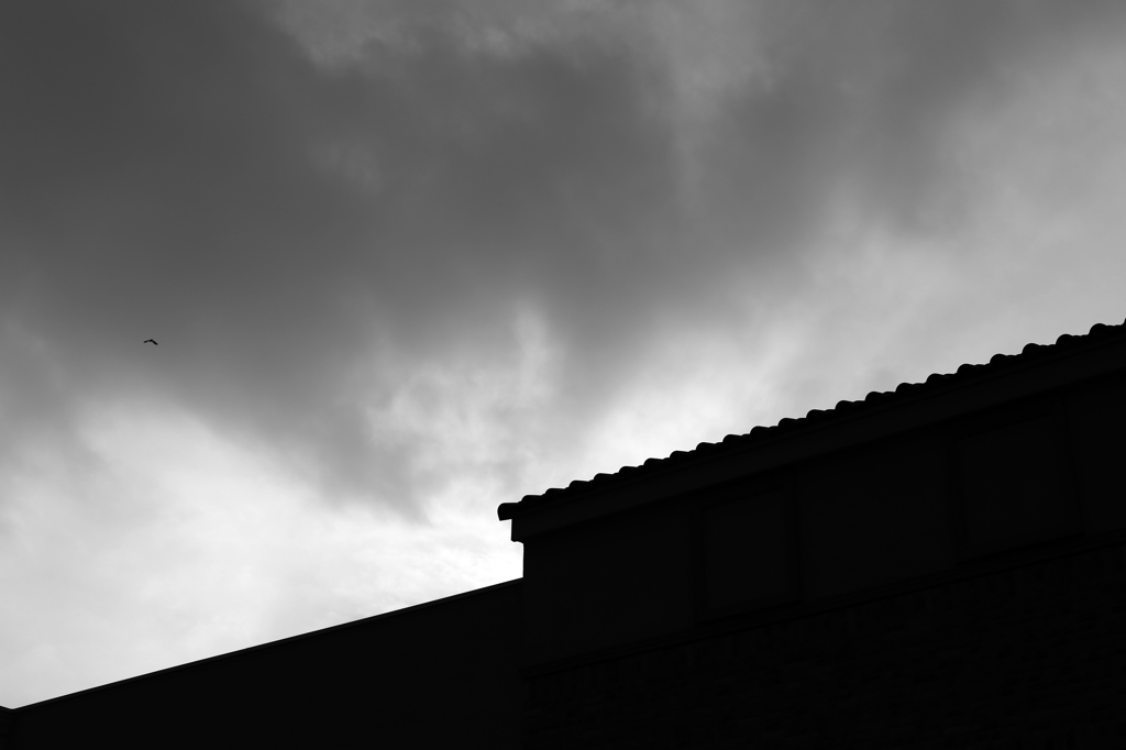 IMG_6069