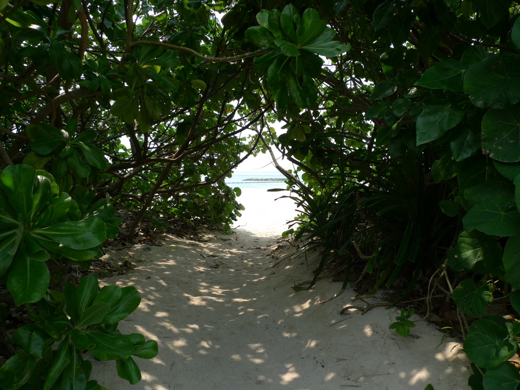 P1010692