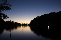 日の出前の石神井公園ボート池