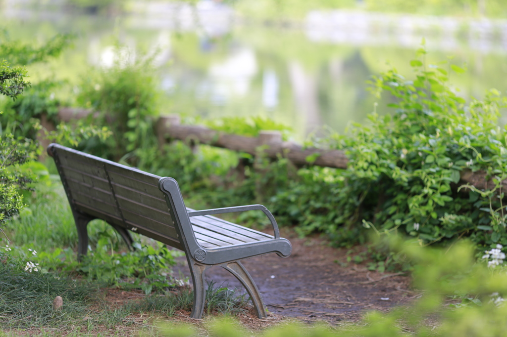 公園のベンチ