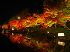鏡池