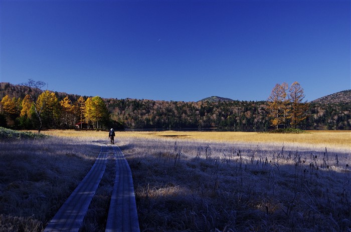 尾瀬だなぁ～の風景